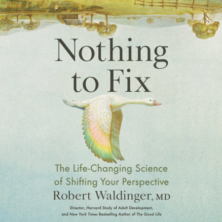 Nothing to Fix by Robert Waldinger, MD