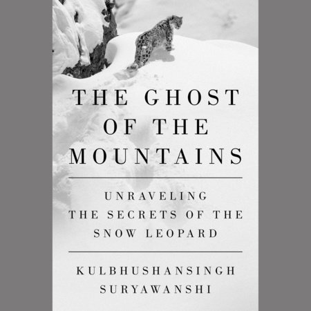 The Ghost of the Mountains by Kulbhushansingh Suryawanshi