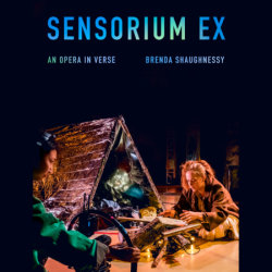Sensorium Ex