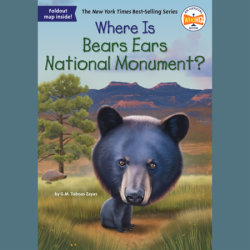 Where Is Bears Ears National Monument?