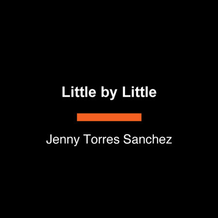Little by Little by Jenny Torres Sanchez