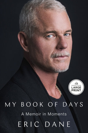My Book of Days by Eric Dane