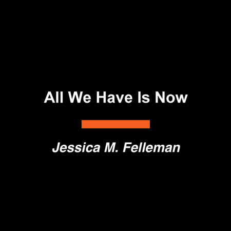 All We Have Is Now by Jessica M. Felleman