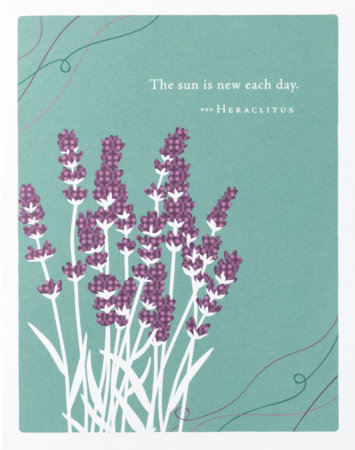 Positively Green Greeting Cards: Get Well - The sun is new each day ...