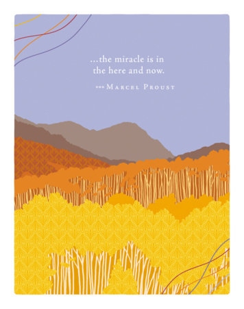Positively Green Greeting Cards: Birthday - The miracle is in the here and now. (Pack of 6) by 
