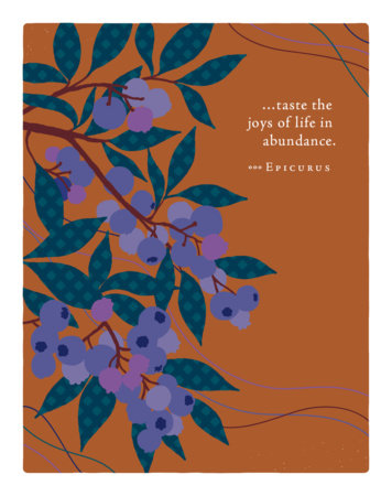 Positively Green Greeting Cards: Birthday - Taste the joys of life in abundanc (Pack of 6) by 