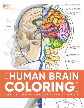 The Human Brain Coloring Book by DK