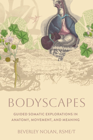 Bodyscapes by Beverley Nolan, RSME/T