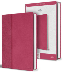 Biblia RVR 1960 letra grande, tamaño manual, Símil piel rosada, edición económica / Spanish Bible RVR 1960 Handy Size, Large Print, Pink Leathersoft