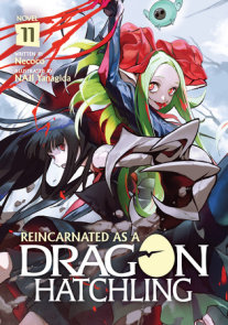 Reincarnated as a Dragon Hatchling (Light Novel) Vol. 11