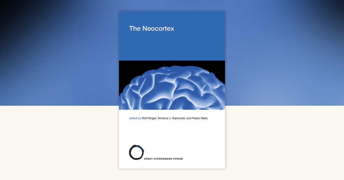 The Neocortex: 9780262043243 | PenguinRandomHouse.com: Books