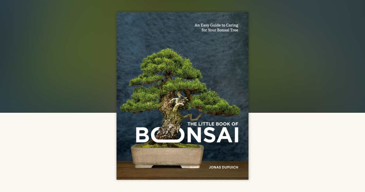 led bonsai Bonsai LED Lighted Tree  Utopianorthwest