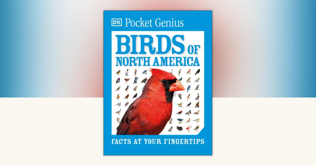 Pocket Genius Birds of North America by DK: 9780744058086