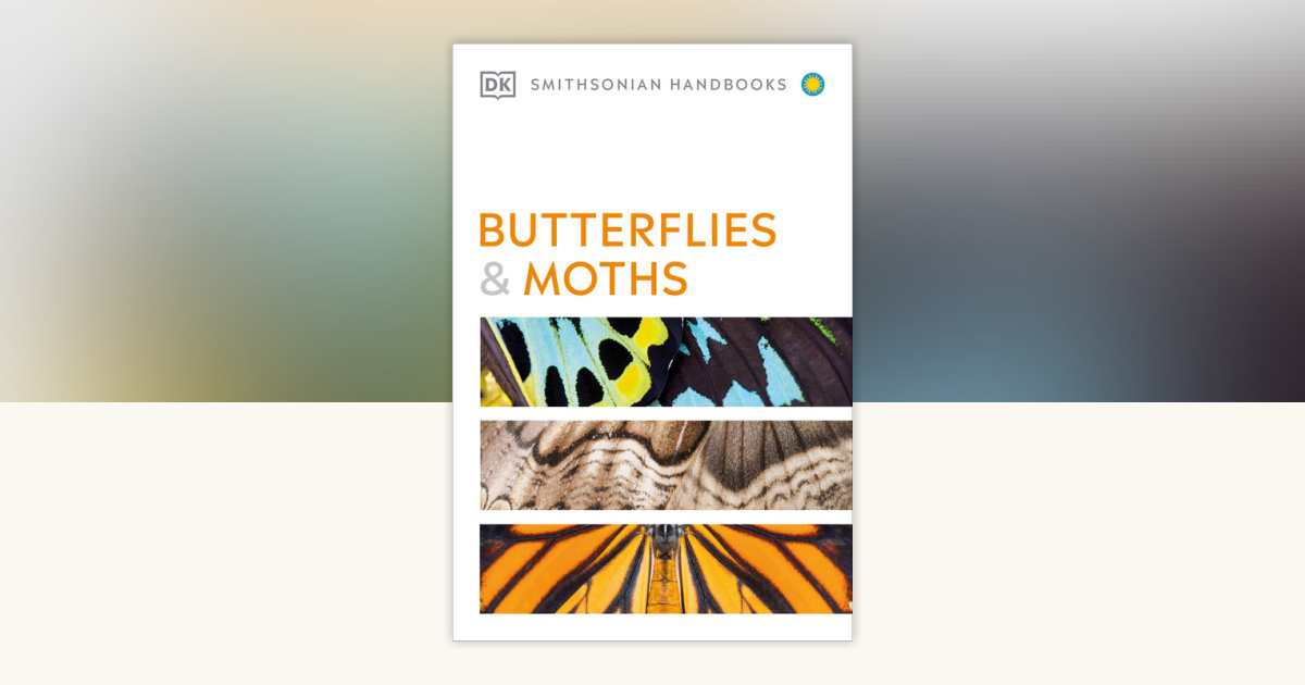 Butterflies and Moths by David Carter: 9780744077292