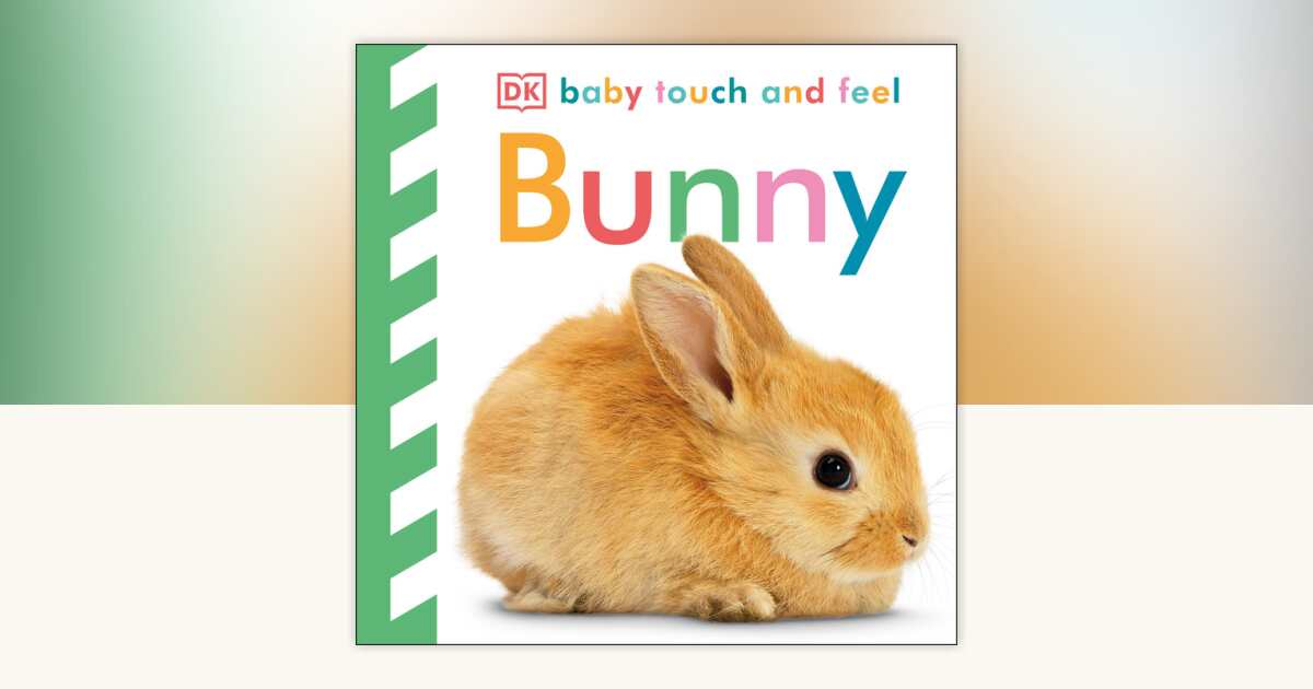 Baby Touch and Feel Bunny by DK: 9780756689872 | PenguinRandomHouse.com ...