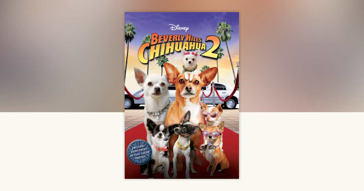Beverly Hills Chihuahua Junior Novel: 9781423149194