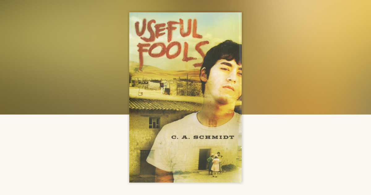 Useful Fools by C.A. Schmidt: 9781440679230 | PenguinRandomHouse.com: Books