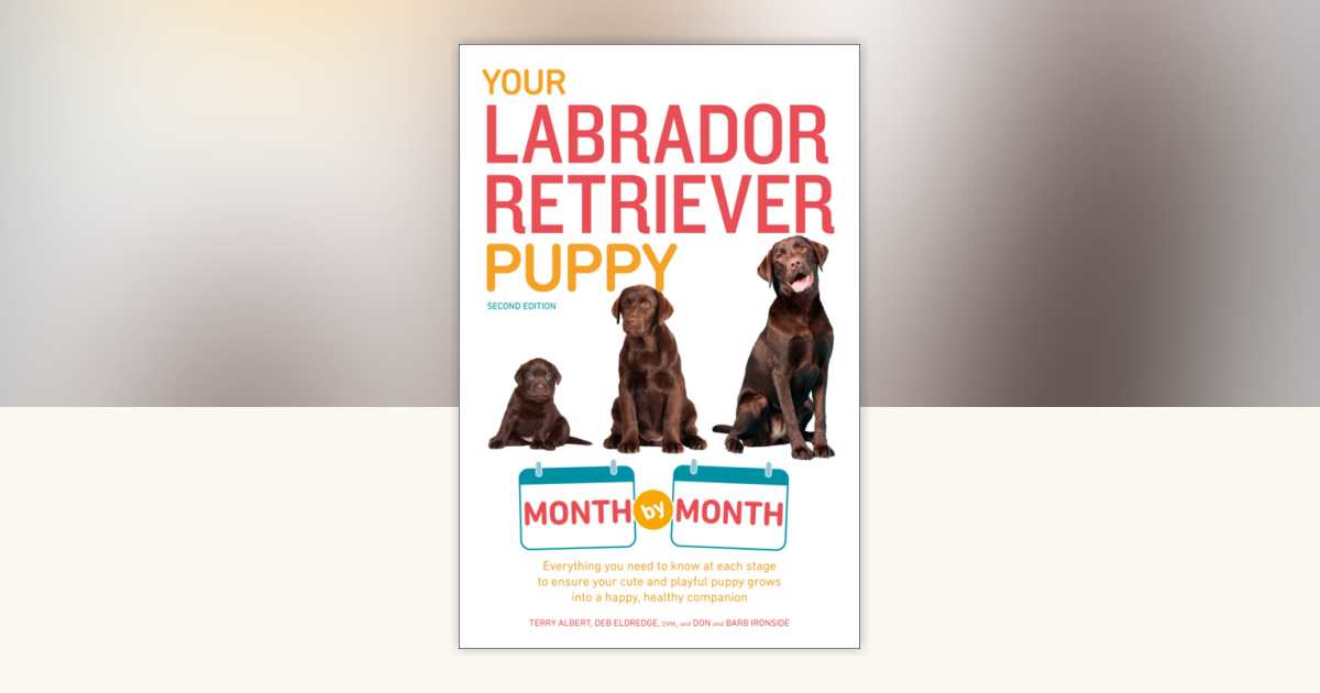 Your Labrador Retriever Puppy Month by Month, 2nd Edition by Terry ...