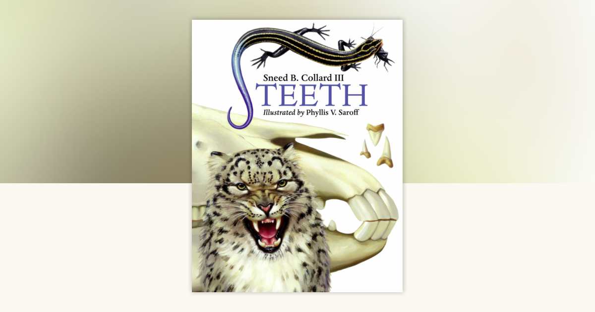 Teeth by Sneed B. Collard III: 9781580891219 | PenguinRandomHouse.com ...