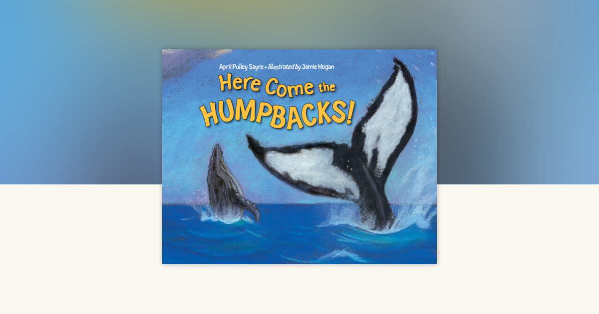 Here Come the Humpbacks! by April Pulley Sayre: 9781580894050