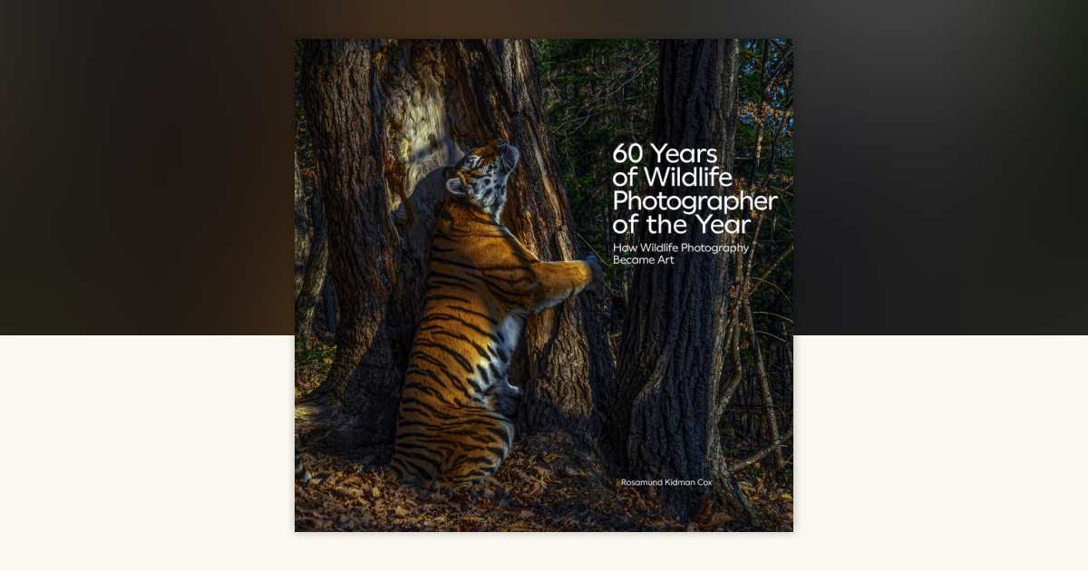 写真集 Wildlife Photographer of the Year 6冊 写真集 Wildlife Photographer of the Year 6冊 - メルカリ