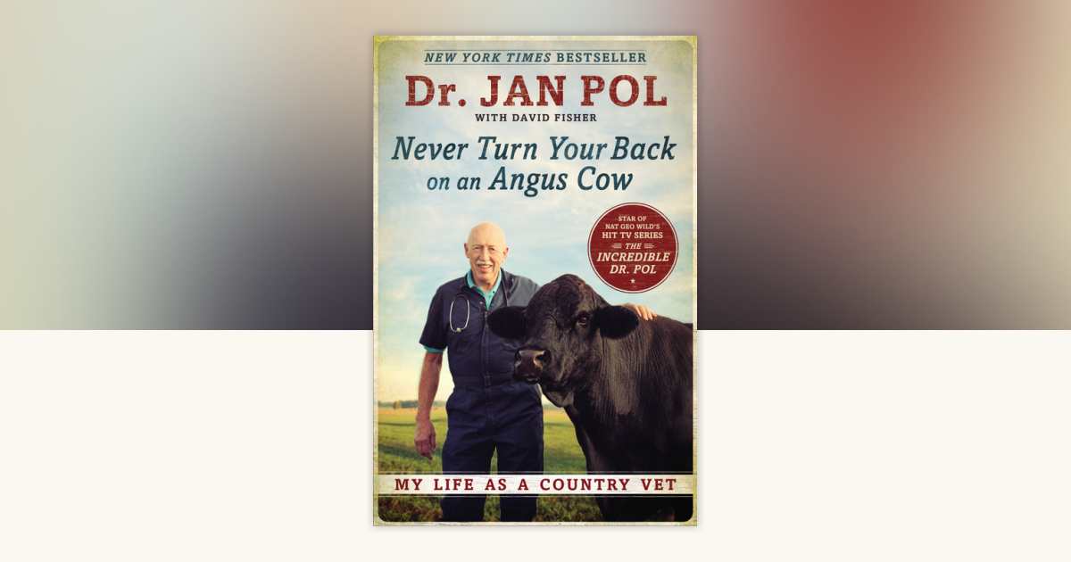 Never Turn Your Back on an Angus Cow by Jan Pol, David Fisher