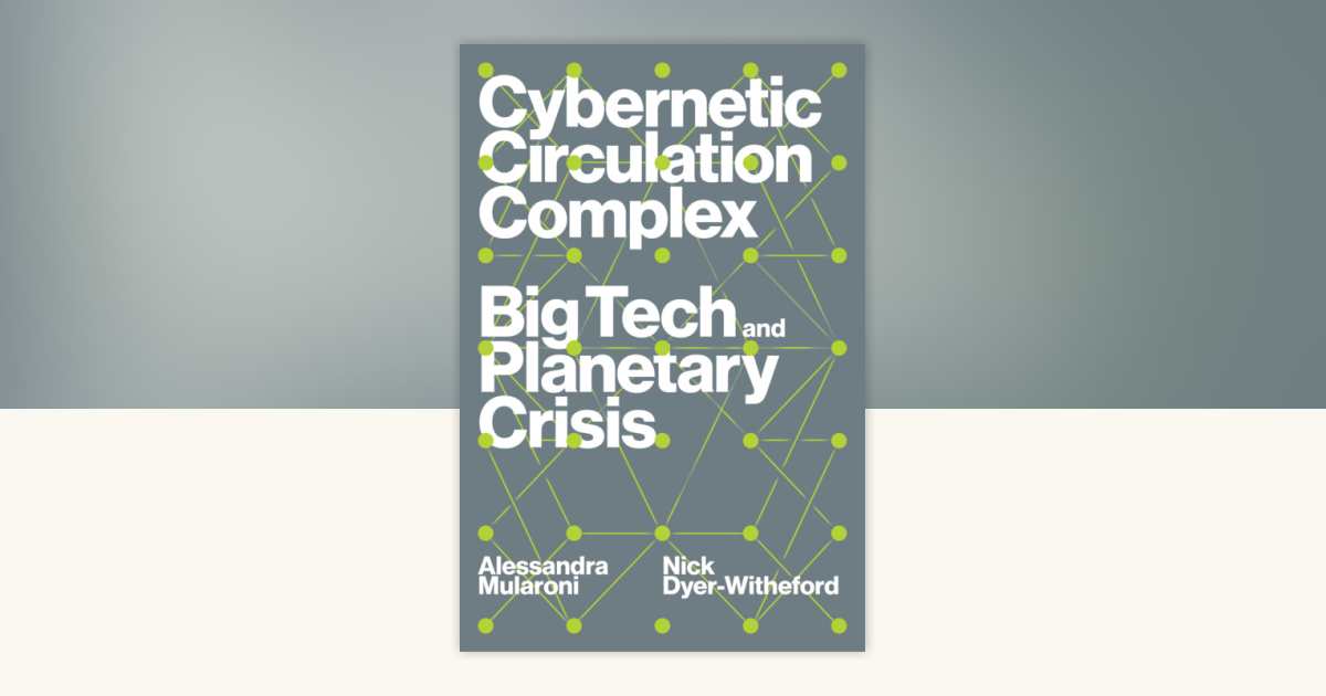 Cybernetic Circulation Complex by Nick Dyer-Witheford, Alessandra