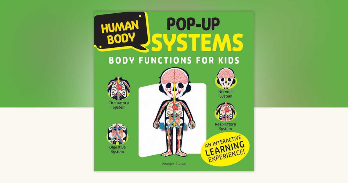 Human Body Pop-up SYSTEMS Body Functions for Kids by Wonder House Books ...