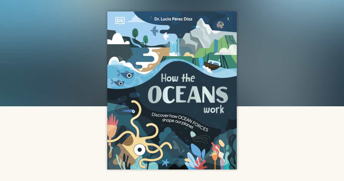 How the Oceans Work by Dr. Lucia Perez Diaz: 9798217134106 ...