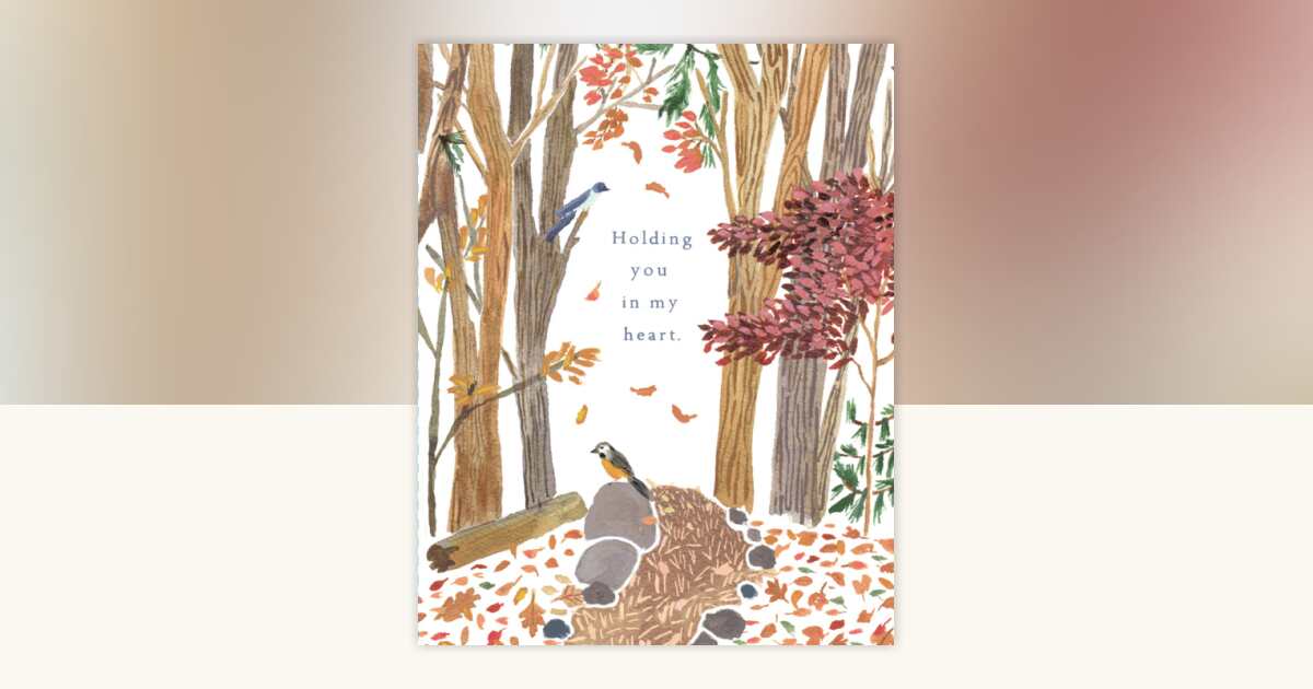 Love Muchly Greeting Cards: Sympathy - Holding you in my heart (Pack of ...