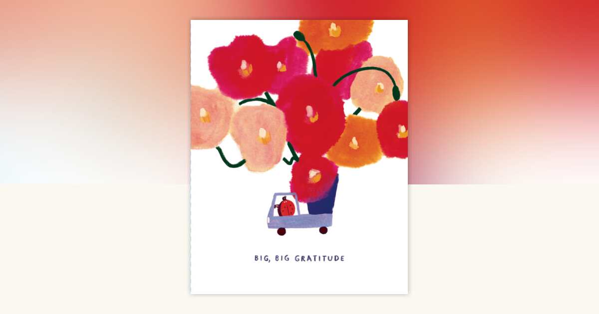 Love Muchly Greeting Cards: Thank You - Big, big gratitude (Pack of 6 ...