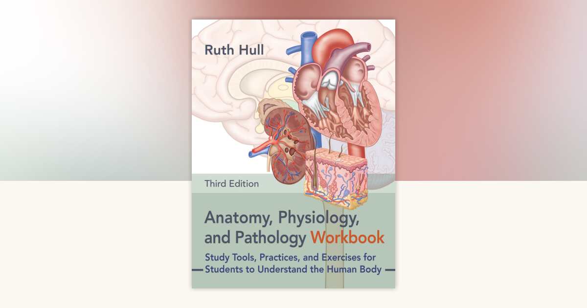 Anatomy, Physiology, and Pathology Workbook, Third Edition by Ruth Hull ...